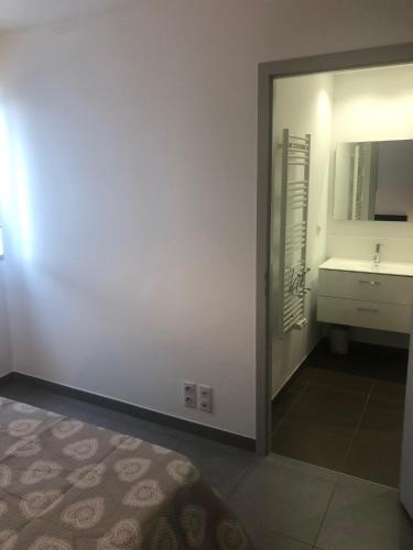 une salle de bain avec un lavabo et un miroir dans l'établissement Appartement les pieds dans l'eau 3 Chambres - Propriano - Corse, à Propriano