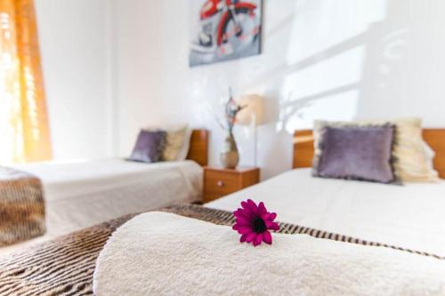 Apartment Sol Mar