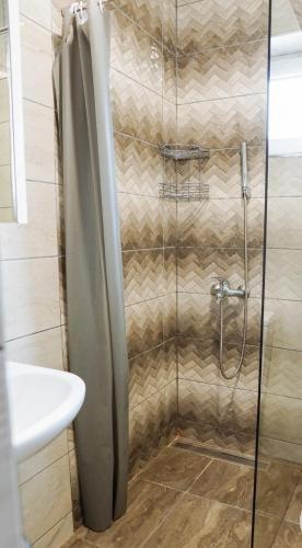 a shower with a glass door in a bathroom at Pastirica in Divčibare