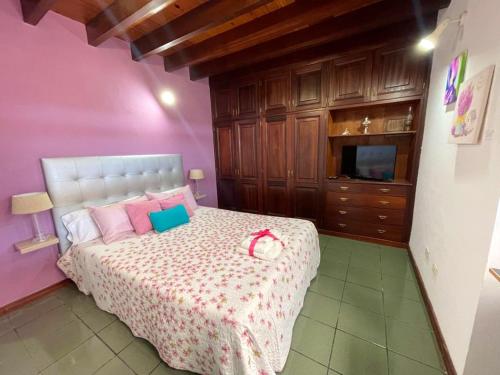 a bedroom with a bed with pink walls and a tv at 2 bedrooms house with sea view furnished garden and wifi at Taibique in Taibique