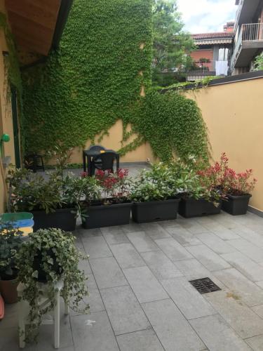 Corte Sant'Orsola 4 photo 24