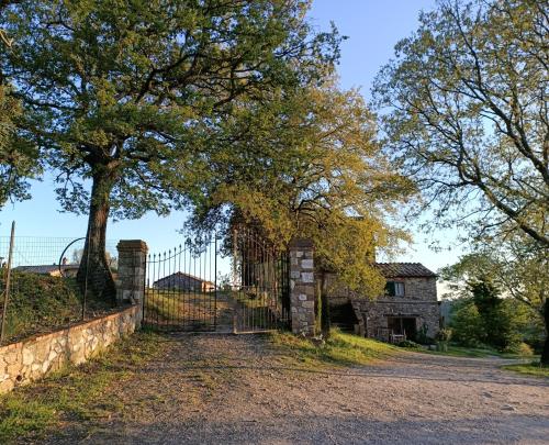 an old gate to a house with a tree at Casa Nati in Casale di Pari