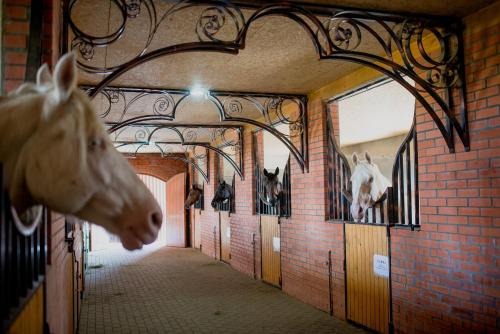 a horse head on the wall of a building at Zolota Gora Hotel-Rancho in Uzhhorod