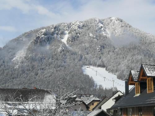 a mountain covered in snow with a ski slope at Apartma Antico in Kranjska Gora