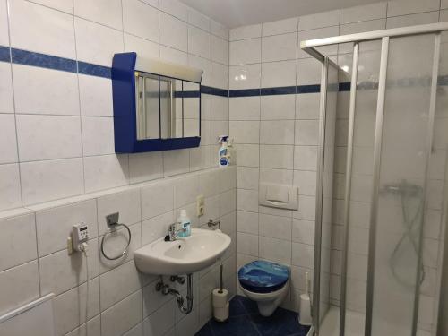 La salle de bains est pourvue d'un lavabo, de toilettes et d'une douche. dans l'établissement Ferienwohnung Kramer, à Kippenheim