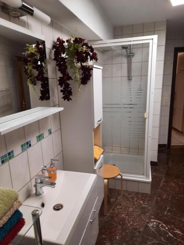 a kitchen with a sink and a shower with plants at Ferienhaus Luise in Sebnitz