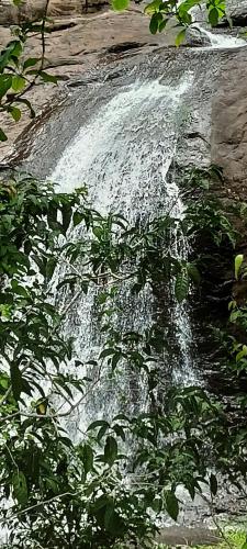 a stream of water on top of a rock at 4 Acre Woods Farm Stay in Munnar