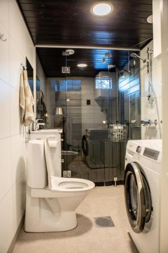 a bathroom with a toilet and a washing machine at Villa Bruno in Syöte