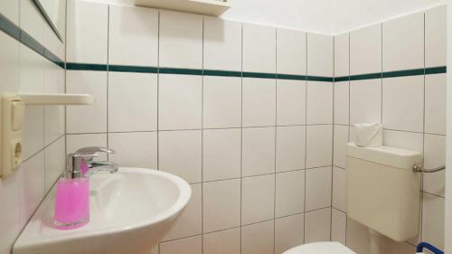 y baño con lavabo y aseo. en FerienGut Dalwitz Kitzklause en Walkendorf