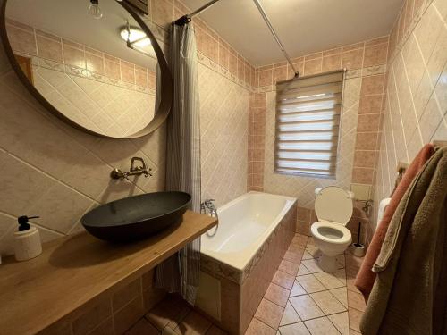 a bathroom with a sink and a tub and a toilet at Chalupa U Dvořáků in Lomnice nad Lužnicí