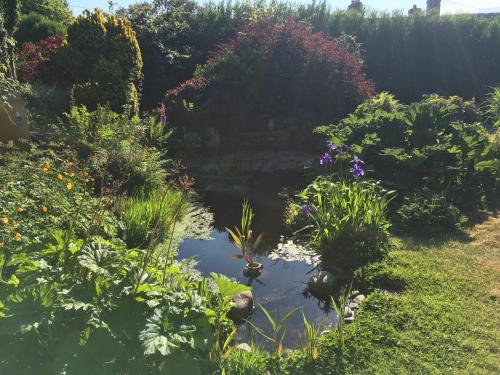 a pond in the middle of a garden at Slerra Hill Bed and Breakfast, Clovelly in Bideford