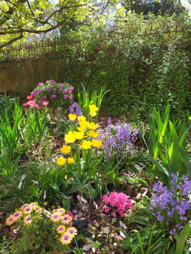 a garden filled with lots of different colored flowers at L'Echappée Belle in Chartres