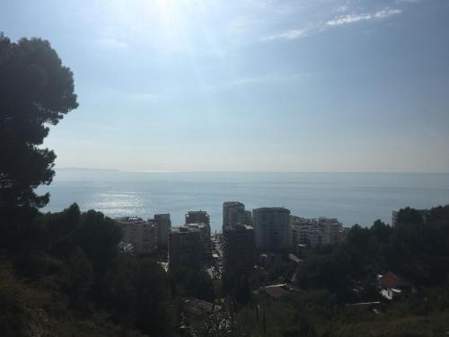 Jozi Kaiser Apartment 1