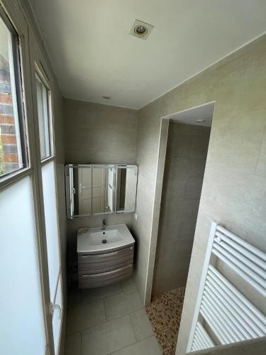 a bathroom with a sink and a mirror at Le Pavillon de la mare in Avrainville