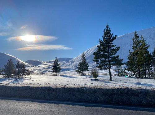 a group of trees in the snow with mountains at Lindas Retreats Self catering accommodation 1 bedroom cottage or 3 bedroom House in Tomintoul