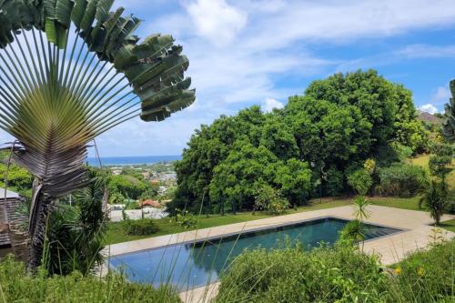a palm tree next to a swimming pool at Naia Lodge - on the heights of the city in Arue