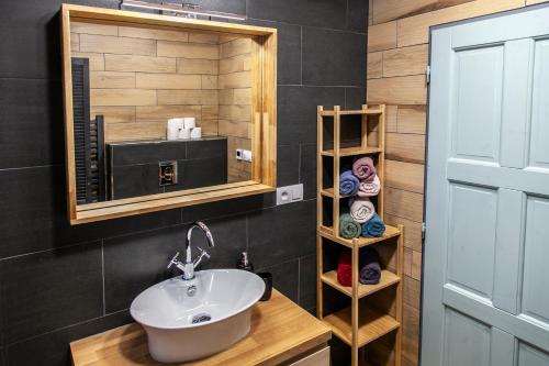 ein Bad mit einem Waschbecken und einem Spiegel in der Unterkunft Škorničkův statek - Tátova chalupa s wellness in Hamr