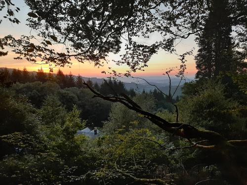 a sunset over a forest of trees with a view at Cabane du Druide Domaine de Fangorn in Glux