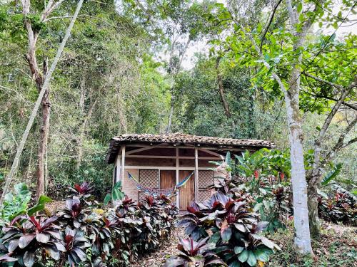 une petite maison au milieu d'une forêt dans l'établissement Jungle Cabins El Escondido, à Muy Muy
