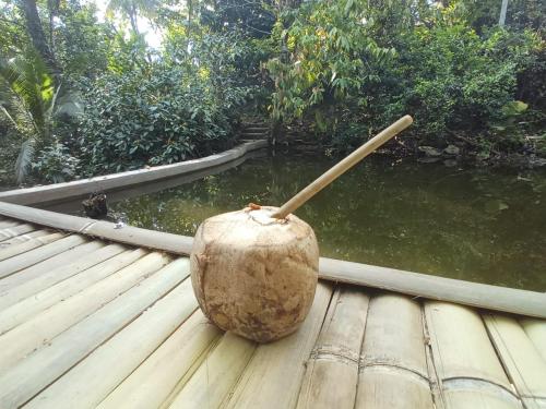 Wübu, Jungle Lodge – Photos 4