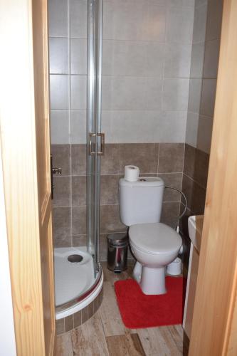 a small bathroom with a toilet and a shower at Penzion U Jelena in Železná Ruda