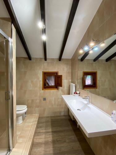 a bathroom with a sink and a toilet at La Casina de la Arquera in Llanes