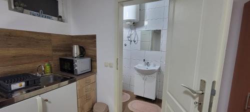 a small kitchen with a sink and a microwave at Vila Jovana in Vrdnik