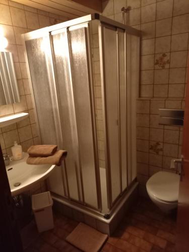 a bathroom with a shower and a sink and a toilet at Pension Grasy in Aidlingen