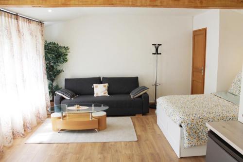 uma sala de estar com um sofá e uma mesa de vidro em Saint Etienne : appartement Châteaucreux 40 M2 em Saint-Étienne