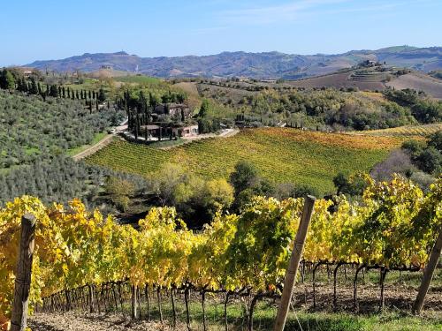 Gallery image of Agriturismo Fiorano in Cossignano