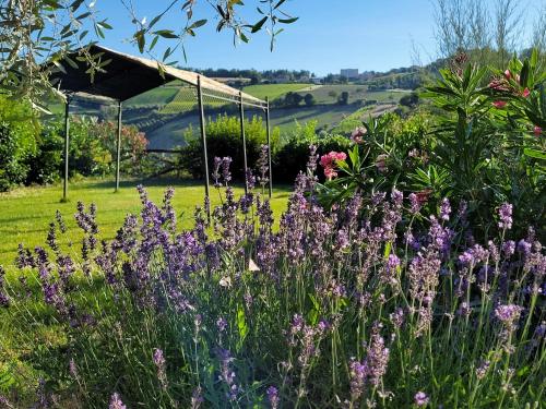 Gallery image of Agriturismo Fiorano in Cossignano