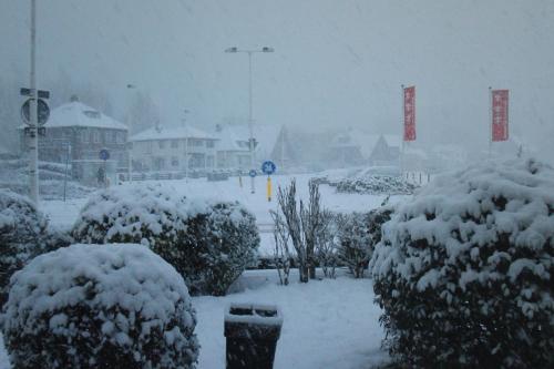 a snow covered street with bushes and buildings at Huize de Weijde Blick in Wijk aan Zee