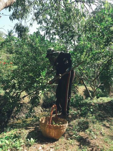 Tetamu yang menginap di Baan Loylom Farmstay