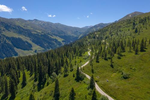 a winding road through a mountain valley with trees at Hotel Almhof in Hochfugen