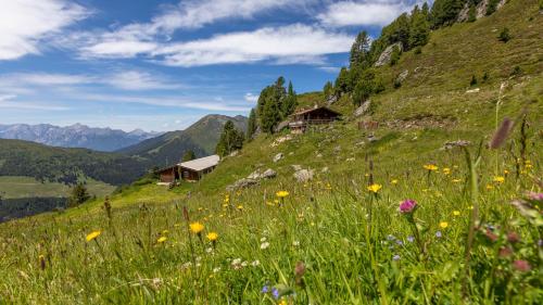 a field of flowers on a hill with houses at Hotel Almhof in Hochfugen