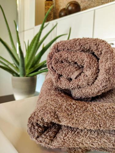 a pile of towels sitting on a counter with a plant at Ferienwohnung Malu Sol im Harz - stilvoll, gemütlich, tierfreundlich - mit Garten in Allrode