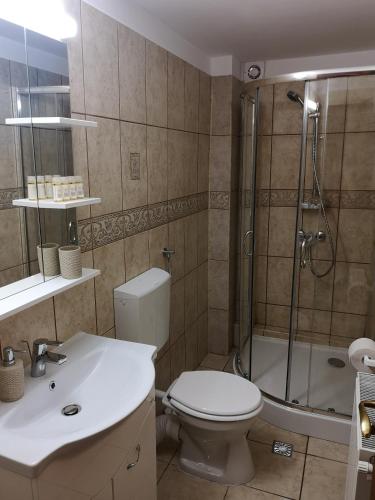 a bathroom with a toilet and a shower and a sink at Casa BonDia in Paraul Rece