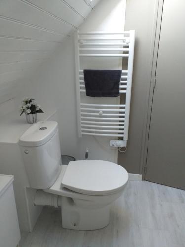 a white bathroom with a toilet and a window at La chambre Lomen in Lauzach