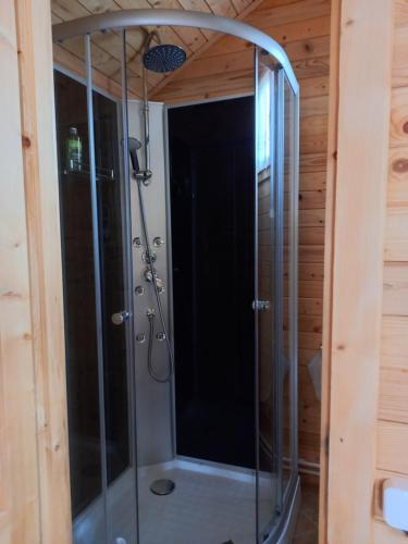a shower with a glass door in a room at Cabanuta Casuta din Povesti in Bran