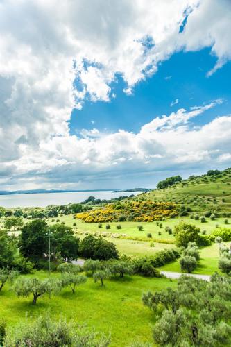 a view of a field with trees and a blue sky at Vista Lago in San Savino
