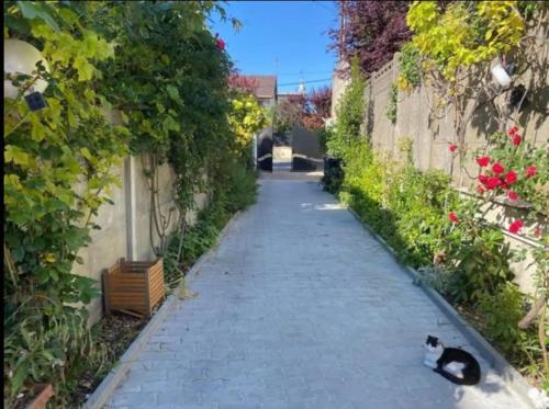 a black and white cat laying on a sidewalk at Suite MaryMe in Stains