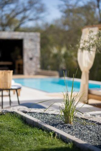 a yard with a swimming pool and a grassy yard with a plant at Villa Luna in Županje
