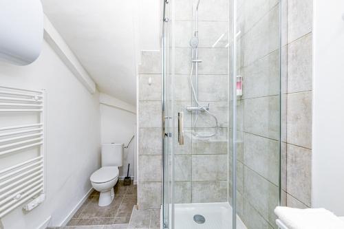 a bathroom with a shower and a toilet at Meublé classé 3 étoiles au pied des thermes in Allevard