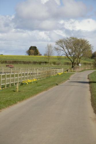 a road leading into a field with a fence at Southview farm in Halsham