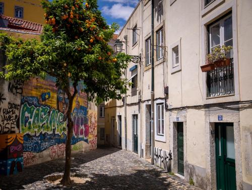 Great apt in historical city center