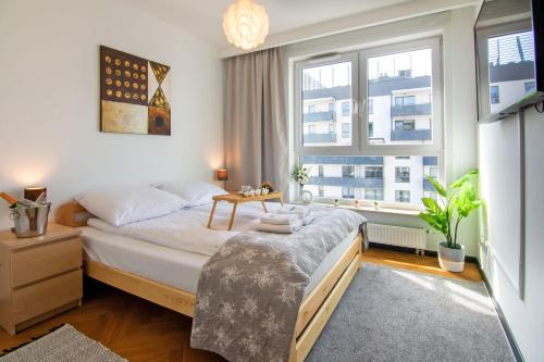1 dormitorio con 1 cama grande y 2 ventanas en Maya's Flats & Resorts 46 - NEW PANORAMA VIEW Walowa Str, en Gdansk