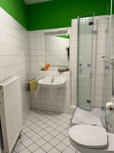 uma casa de banho com um WC, um lavatório e um chuveiro em Gästezimmer für Naturliebhaber em Krakow am See