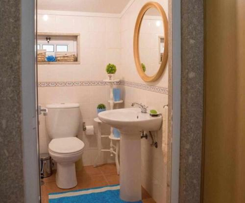 a bathroom with a toilet and a sink and a mirror at Quinta Vale de Frades in Torrão