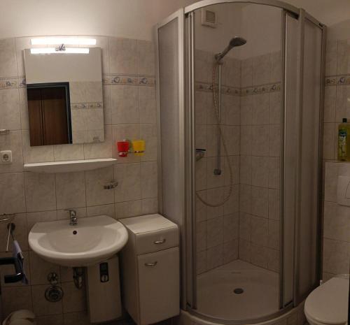 een badkamer met een douche en een wastafel bij BTSH66212-FeWo-Bootskieker in Burgtiefe auf Fehmarn 