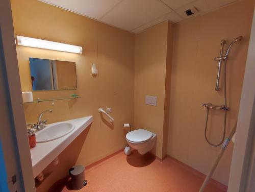 a bathroom with a sink and a toilet and a shower at Gîte d'étape et de groupe du Clos Saint Roch in Viviers